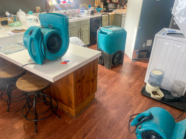 Best Commercial water damage restoration  in Sparks, GA