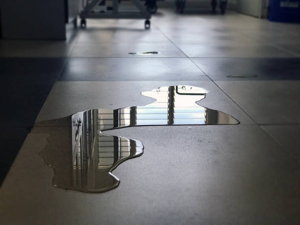 Best Professional water damage repair  in Sparks, GA