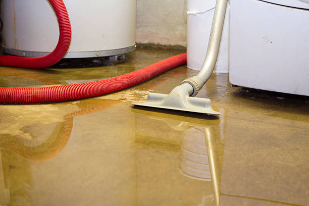Best Water damage cleanup near me  in Sparks, GA