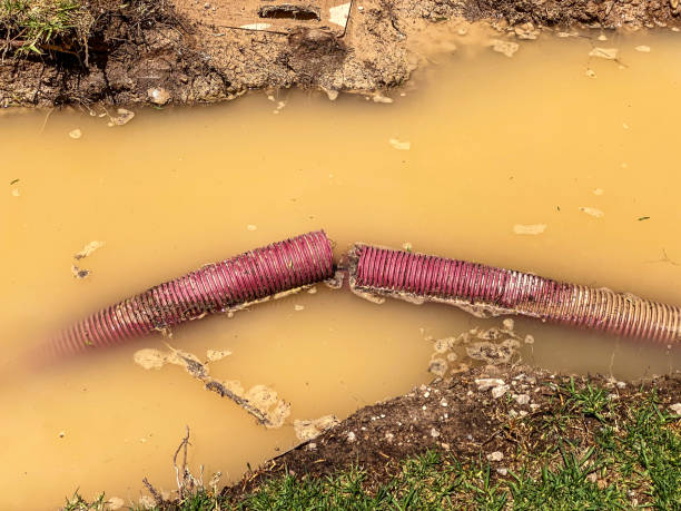 Best Sewage cleanup and water damage restoration  in Sparks, GA