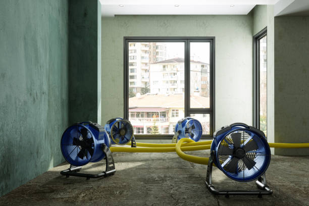 Best Professional water damage repair  in Sparks, GA