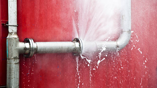 Best Carpet water damage restoration  in Sparks, GA