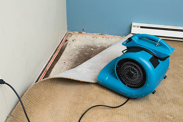 Best Basement water damage restoration  in Sparks, GA